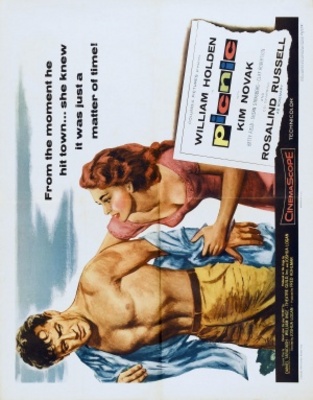 Picnic movie poster (1955) Stickers MOV_5d91b4bc