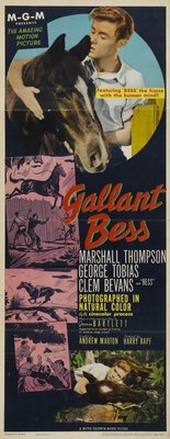 Gallant Bess movie poster (1946) canvas poster