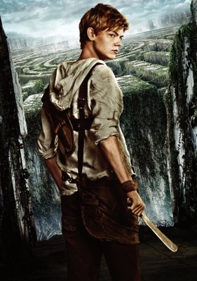 The Maze Runner movie poster (2014) puzzle MOV_5f31017a