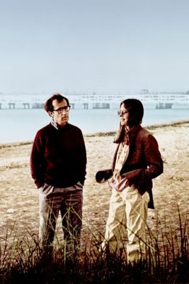 Annie Hall movie poster (1977) wooden framed poster