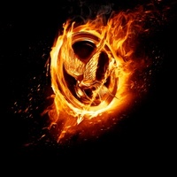 The Hunger Games movie poster (2012) magic mug #MOV_64f5444a