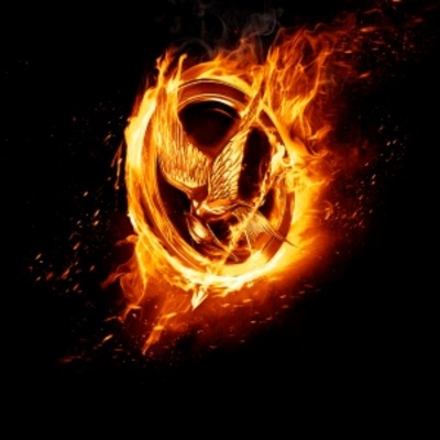 The Hunger Games movie poster (2012) puzzle MOV_64f5444a