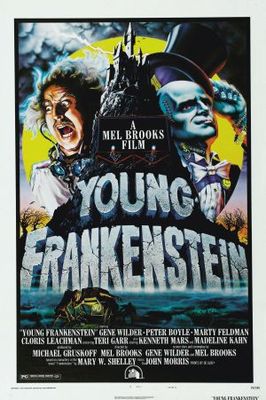 Young Frankenstein movie poster (1974) wooden framed poster