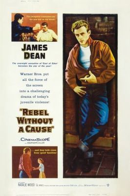 Rebel Without a Cause movie poster (1955) puzzle MOV_6708f4fe