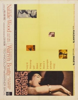 Splendor in the Grass movie poster (1961) poster with hanger