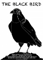 The Black Bird movie poster (2013) hoodie #1110450