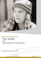 The Sheik movie poster (1921) hoodie #1243175