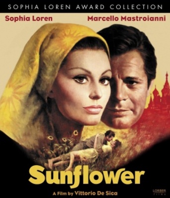 I girasoli movie poster (1970) poster with hanger