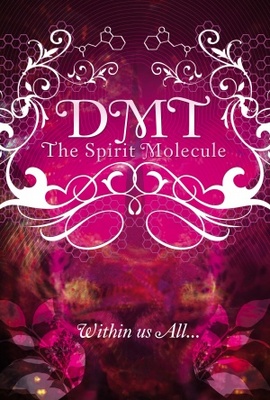 DMT: The Spirit Molecule movie poster (2010) puzzle MOV_6b480d42