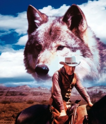The Legend of Lobo movie poster (1962) metal framed poster
