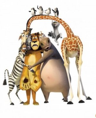 Madagascar: Escape 2 Africa movie poster (2008) Poster MOV_6c13b8fd