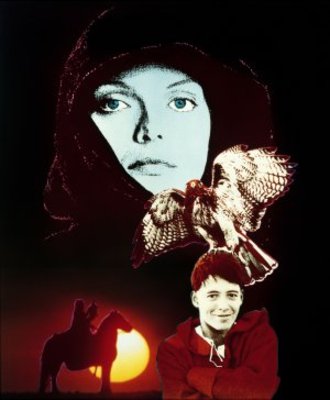 Ladyhawke movie poster (1985) wood print