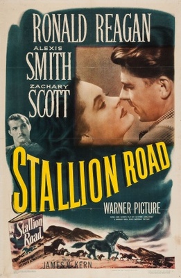 Stallion Road movie poster (1947) Stickers MOV_6d3a60bf