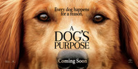 A Dogs Purpose movie poster (2017) t-shirt #1468258
