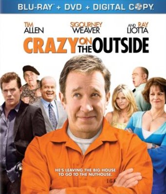 Crazy on the Outside movie poster (2010) poster with hanger