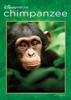 Chimpanzee movie poster (2012) puzzle MOV_73286491