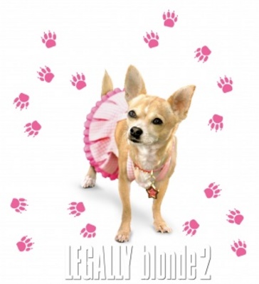Legally Blonde 2: Red, White & Blonde movie poster (2003) Stickers MOV_7466a98b