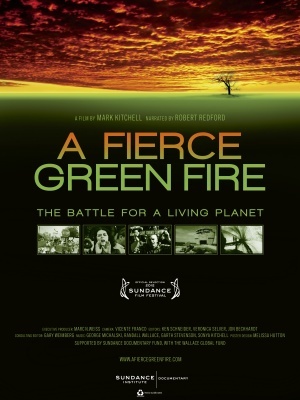 A Fierce Green Fire movie poster (2012) metal framed poster