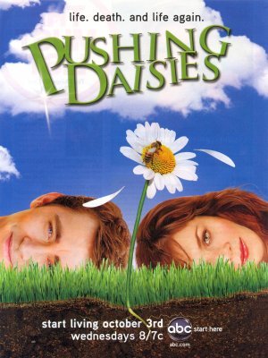 Pushing Daisies movie poster (2007) puzzle MOV_7520a0a0
