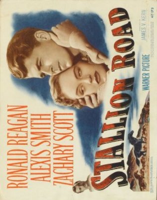 Stallion Road movie poster (1947) pillow