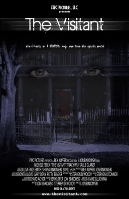 The Visitant movie poster (2012) wooden framed poster