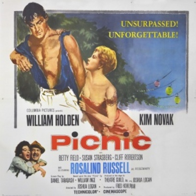Picnic movie poster (1955) wooden framed poster