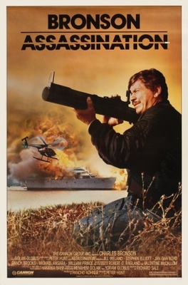 Assassination movie poster (1987) wooden framed poster