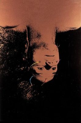 Altered States movie poster (1980) wooden framed poster