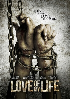 Love of my Life movie poster (2014) metal framed poster