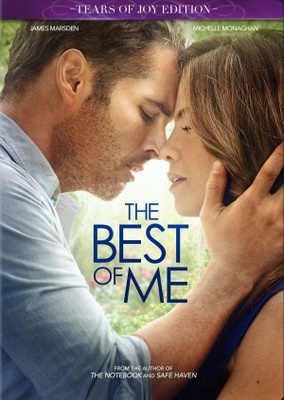 The Best of Me movie poster (2014) mug