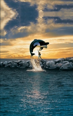 Free Willy movie poster (1993) canvas poster
