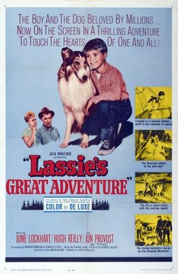 Lassie's Great Adventure movie poster (1963) poster