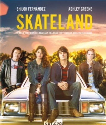 Skateland movie poster (2010) wooden framed poster