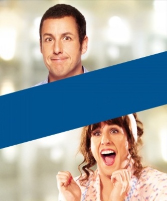 Jack and Jill movie poster (2011) poster with hanger