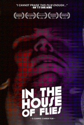 In the House of Flies movie poster (2012) pillow