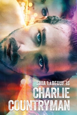 The Necessary Death of Charlie Countryman movie poster (2013) poster with hanger