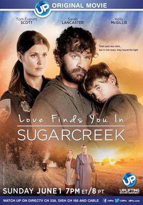 Love Finds You in Sugarcreek movie poster (2014) puzzle MOV_868e3a23