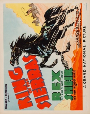 King of the Sierras movie poster (1938) poster with hanger