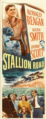 Stallion Road movie poster (1947) mouse pad