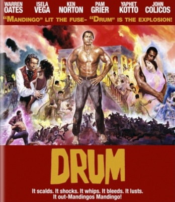 Drum movie poster (1976) wood print