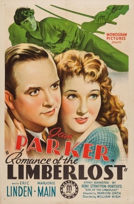 Romance of the Limberlost movie poster (1938) tote bag #MOV_8ddaaf50
