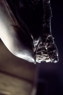 Alien movie poster (1979) Poster MOV_8e8a6f08