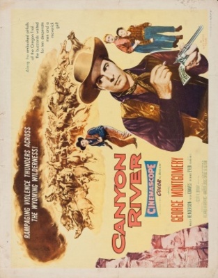 Canyon River movie poster (1956) wooden framed poster