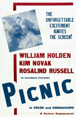 Picnic movie poster (1955) pillow