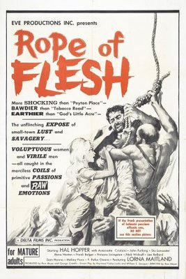 Mudhoney movie poster (1965) wooden framed poster