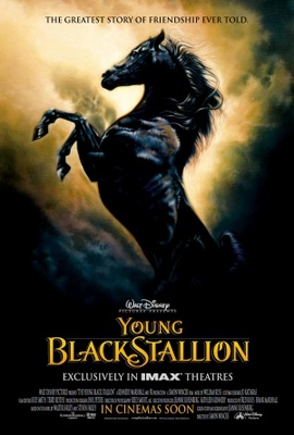 The Young Black Stallion movie poster (2003) poster with hanger
