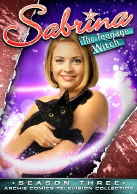 Sabrina, the Teenage Witch movie poster (1996) poster with hanger