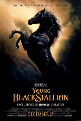 The Young Black Stallion movie poster (2003) poster