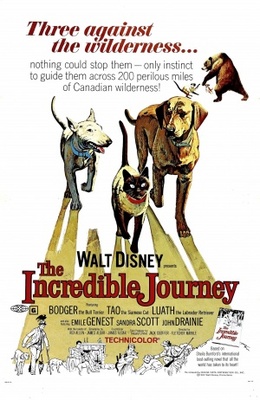 The Incredible Journey movie poster (1963) pillow