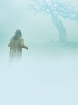 The Exorcism Of Emily Rose movie poster (2005) wooden framed poster